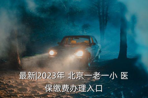 最新|2023年 北京一老一小 醫(yī)保繳費(fèi)辦理入口