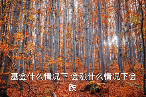  基金什么情況下 會(huì)漲什么情況下會(huì)跌