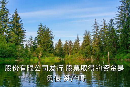 股份有限公司發(fā)行 股票取得的資金是 負(fù)債 資產(chǎn)嗎