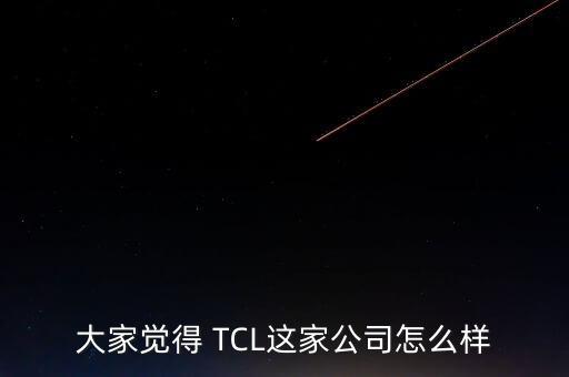 大家覺得 TCL這家公司怎么樣