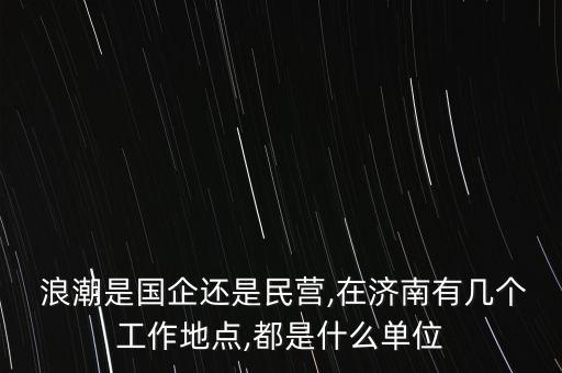  浪潮是國企還是民營,在濟南有幾個工作地點,都是什么單位