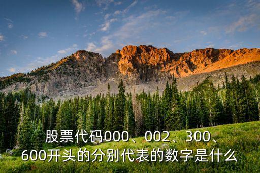  股票代碼000、002、300、600開頭的分別代表的數(shù)字是什么