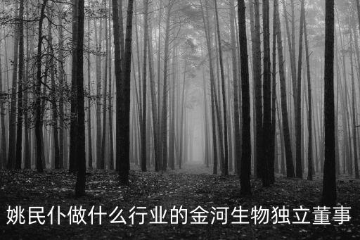 姚民仆做什么行業(yè)的金河生物獨立董事