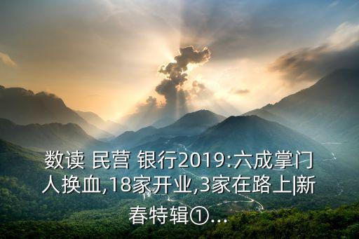 數(shù)讀 民營(yíng) 銀行2019:六成掌門人換血,18家開業(yè),3家在路上|新春特輯①...