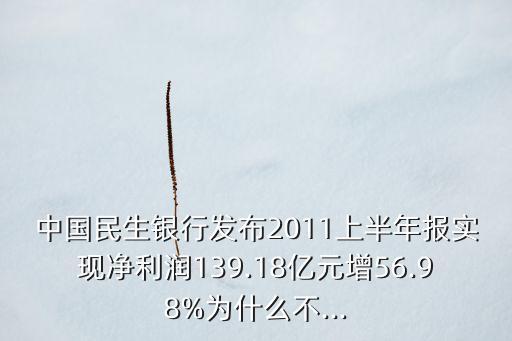 中國民生銀行發(fā)布2011上半年報實現(xiàn)凈利潤139.18億元增56.98%為什么不...