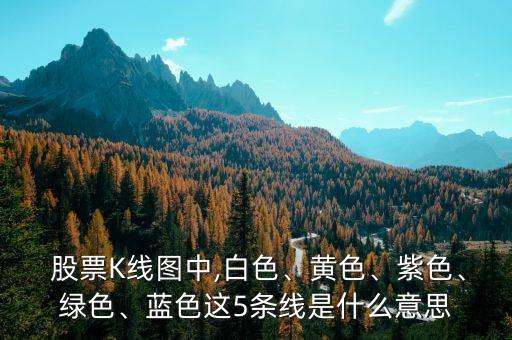  股票K線圖中,白色、黃色、紫色、綠色、藍(lán)色這5條線是什么意思