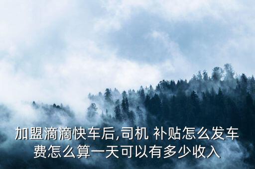 北京滴滴車怎樣補貼的,北京無車跑滴滴收入怎樣