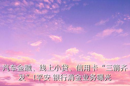 汽車(chē)金融、線上小貸、信用卡“三箭齊發(fā)”!平安 銀行消金業(yè)務(wù)曝光