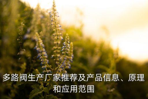 多路閥生產(chǎn)廠家推薦及產(chǎn)品信息、原理和應(yīng)用范圍