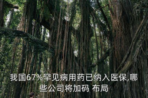 我國67%罕見病用藥已納入醫(yī)保,哪些公司將加碼 布局