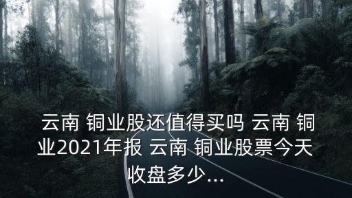  云南 銅業(yè)股還值得買嗎 云南 銅業(yè)2021年報 云南 銅業(yè)股票今天收盤多少...