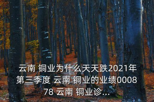  云南 銅業(yè)為什么天天跌2021年第三季度 云南 銅業(yè)的業(yè)績000878 云南 銅業(yè)診...