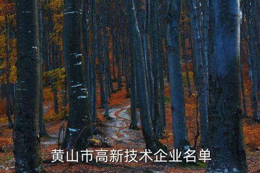 同仁堂黃山公司怎么樣,黃山膠囊公司怎么樣