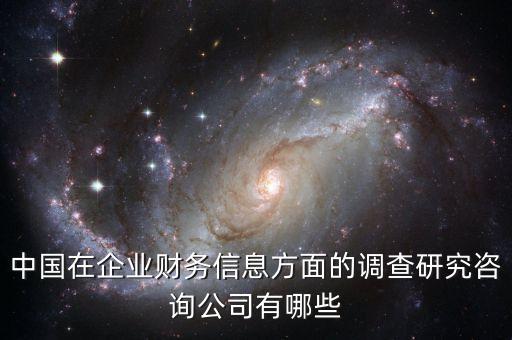 中國在企業(yè)財(cái)務(wù)信息方面的調(diào)查研究咨詢公司有哪些