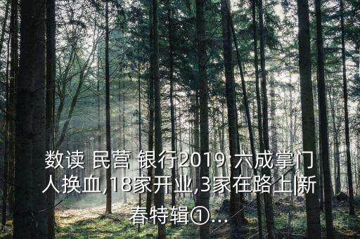 數(shù)讀 民營(yíng) 銀行2019:六成掌門人換血,18家開業(yè),3家在路上|新春特輯①...