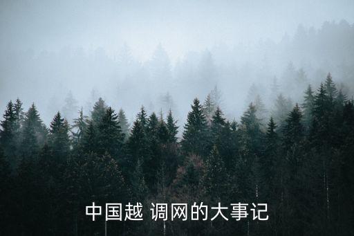 中國越 調(diào)網(wǎng)的大事記