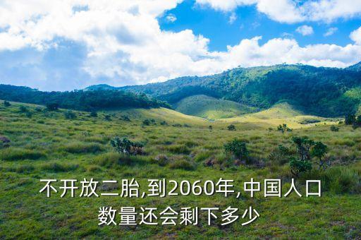 不開放二胎,到2060年,中國(guó)人口數(shù)量還會(huì)剩下多少