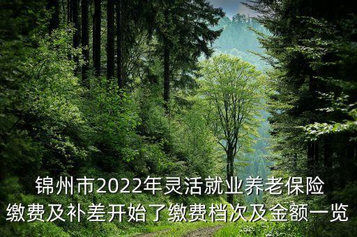  錦州市2022年靈活就業(yè)養(yǎng)老保險(xiǎn)繳費(fèi)及補(bǔ)差開始了繳費(fèi)檔次及金額一覽