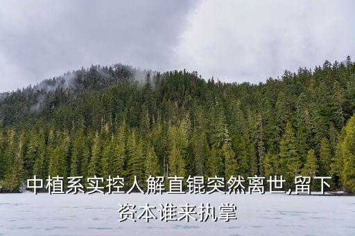 中植集團劉洋