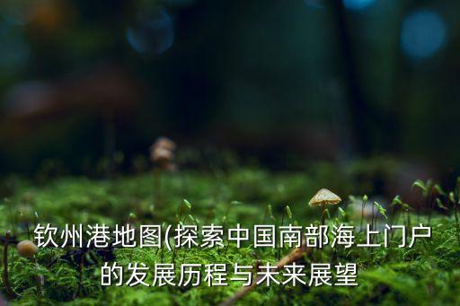 廣西欽州臨海工業(yè)投資有限公司,臨海工業(yè)投資集團(tuán)有限公司