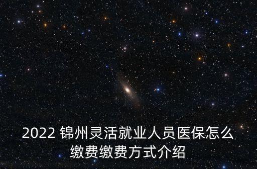 2022 錦州靈活就業(yè)人員醫(yī)保怎么繳費(fèi)繳費(fèi)方式介紹