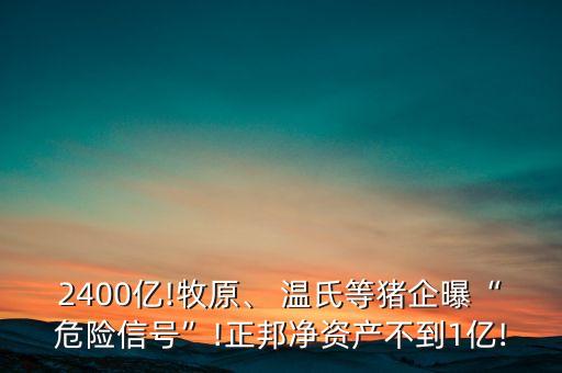 2400億!牧原、 溫氏等豬企曝“危險(xiǎn)信號(hào)”!正邦凈資產(chǎn)不到1億!