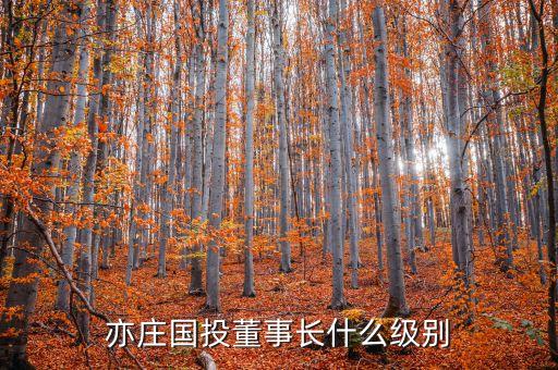 亦莊國(guó)投董事長(zhǎng)什么級(jí)別