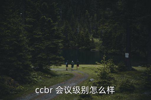 ccbr 會議級別怎么樣