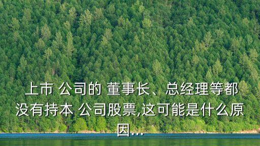  上市 公司的 董事長、總經(jīng)理等都沒有持本 公司股票,這可能是什么原因...