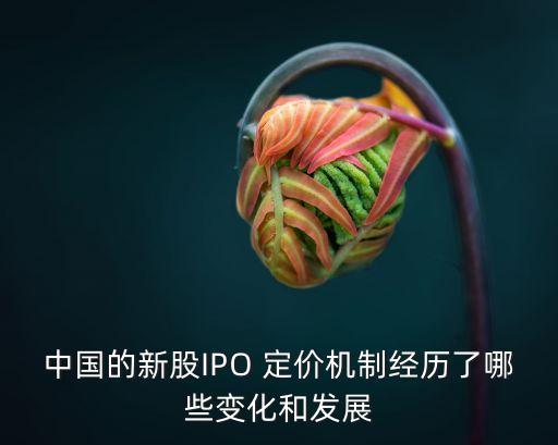 中國的新股IPO 定價機(jī)制經(jīng)歷了哪些變化和發(fā)展