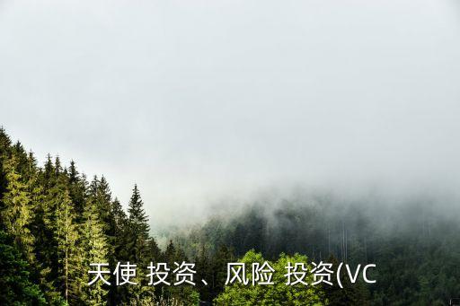  天使 投資、風險 投資(VC