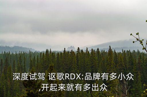 上海謳歌試駕會,2013款謳歌RDX試駕