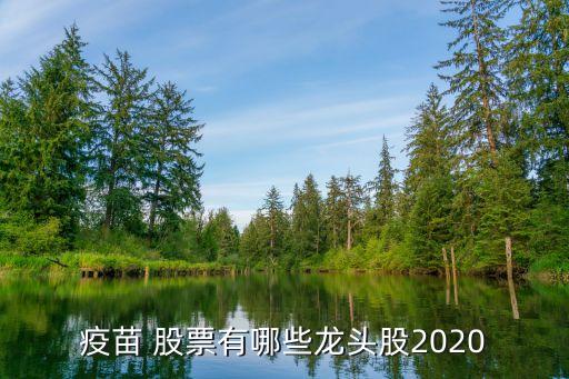 疫苗 股票有哪些龍頭股2020