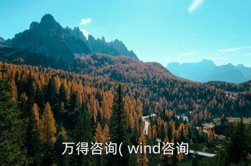 萬得咨詢( wind咨詢