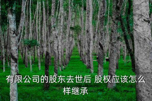 有限公司的股東去世后 股權(quán)應(yīng)該怎么樣繼承