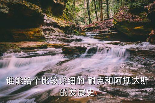 誰能給個(gè)比較詳細(xì)的 耐克和阿抵達(dá)斯的發(fā)展史