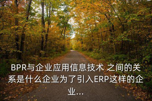 BPR與企業(yè)應(yīng)用信息技術(shù) 之間的關(guān)系是什么企業(yè)為了引入ERP這樣的企業(yè)...