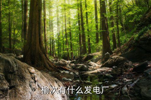 山西瑞浦熱電有限公司,山西福潤(rùn)生物質(zhì)能熱電有限公司