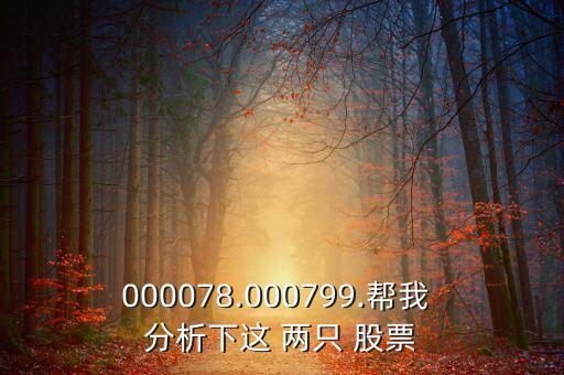 000078.000799.幫我 分析下這 兩只 股票