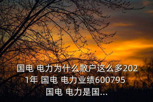  國電 電力為什么散戶這么多2021年 國電 電力業(yè)績600795 國電 電力是國...