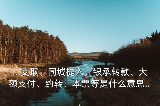 ...支取、同城提入、銀承轉款、大額支付、約轉、本票等是什么意思...