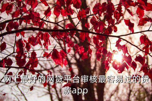 網(wǎng)上最好的網(wǎng)貸平臺(tái)審核最容易過(guò)的貸款app