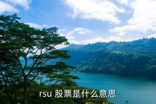 rsu 股票是什么意思