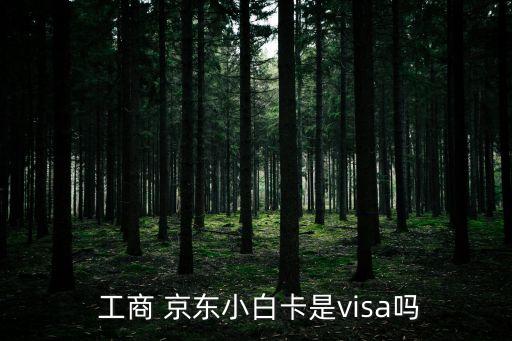  工商 京東小白卡是visa嗎