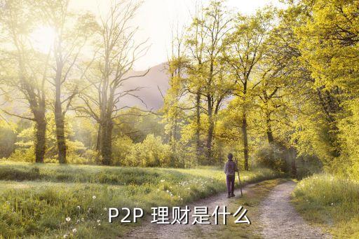 P2P 理財(cái)是什么