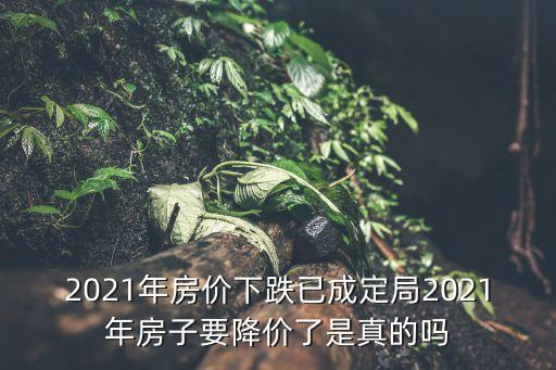 2021年房價下跌已成定局2021年房子要降價了是真的嗎