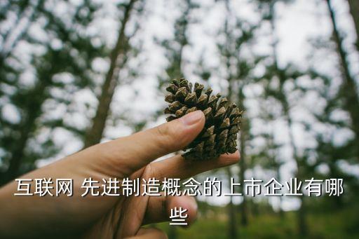 互聯(lián)網(wǎng) 先進(jìn)制造概念的上市企業(yè)有哪些