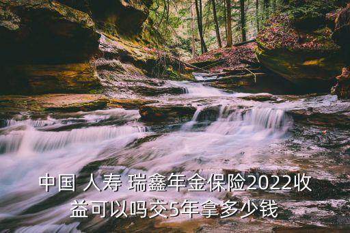 中國(guó) 人壽 瑞鑫年金保險(xiǎn)2022收益可以嗎交5年拿多少錢(qián)