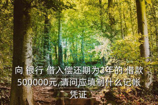 向 銀行 借入償還期為3年的 借款500000元,請(qǐng)問(wèn)應(yīng)填制什么記帳憑證