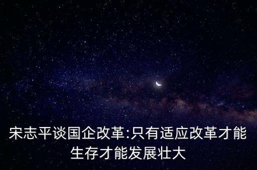 宋志平談國企改革:只有適應改革才能生存才能發(fā)展壯大